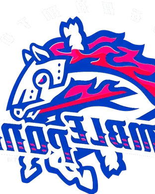 Binghamton Rumble Ponies Richmond
