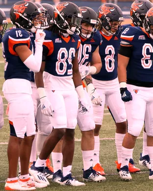 Bucknell Bison University Of Richmond