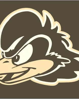 Delaware Blue Hens Football Charlottesville