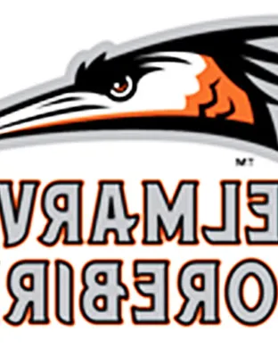 Delmarva Shorebirds Fredericksburg