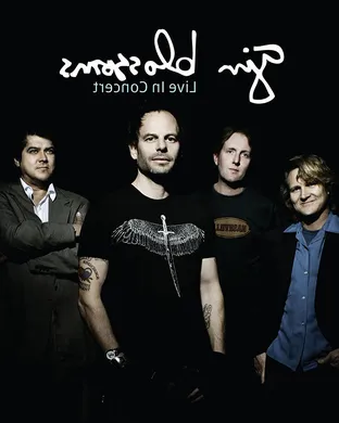 Gin Blossoms Glen Allen