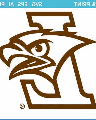 Lehigh Mountain Hawks University Of Richmond
