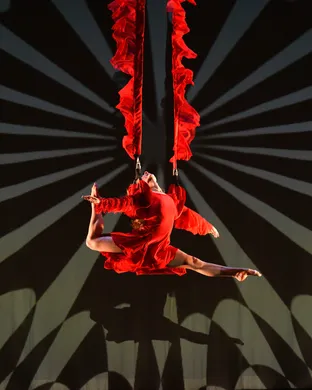 Momix Charlottesville